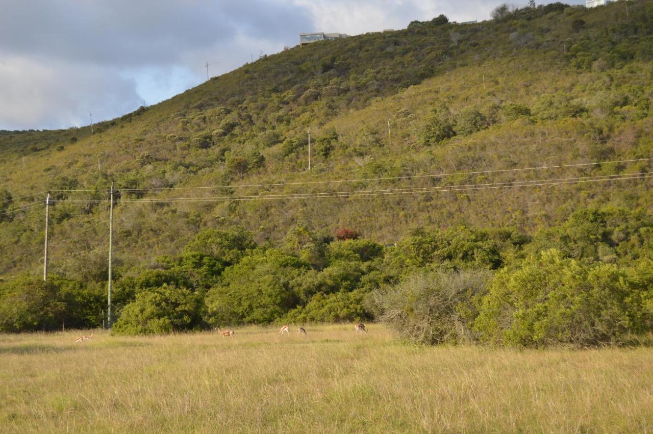 Matjesfontein Estate Keurbooms Chalet Plettenberg Bay Esterno foto